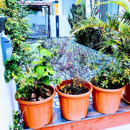 3Bhk Jannat Villa 로나발라 외부 사진